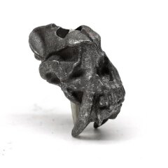 Sabretooth Skull black oxidiert