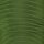 Paracord Typ 3 fern green