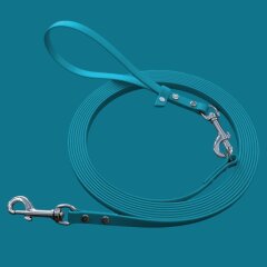 BioThane&reg; Easy Walk Leine 13 mm Laguna 5 Meter