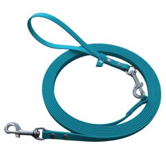 BioThane&reg; Easy Walk Leine 13 mm Laguna 5 Meter