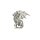 Dragon Conchos links