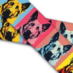 German Sheperd UV Länge: 99 cm