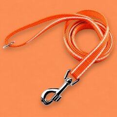Hochreflektierende Hundeleine Lumex Orange 20 mm