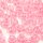 Kordelstopper Kugel gross halbtransparent baby pink